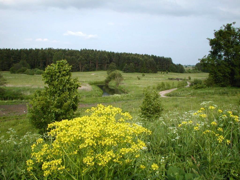 Palac Wojciechy Luaran gambar